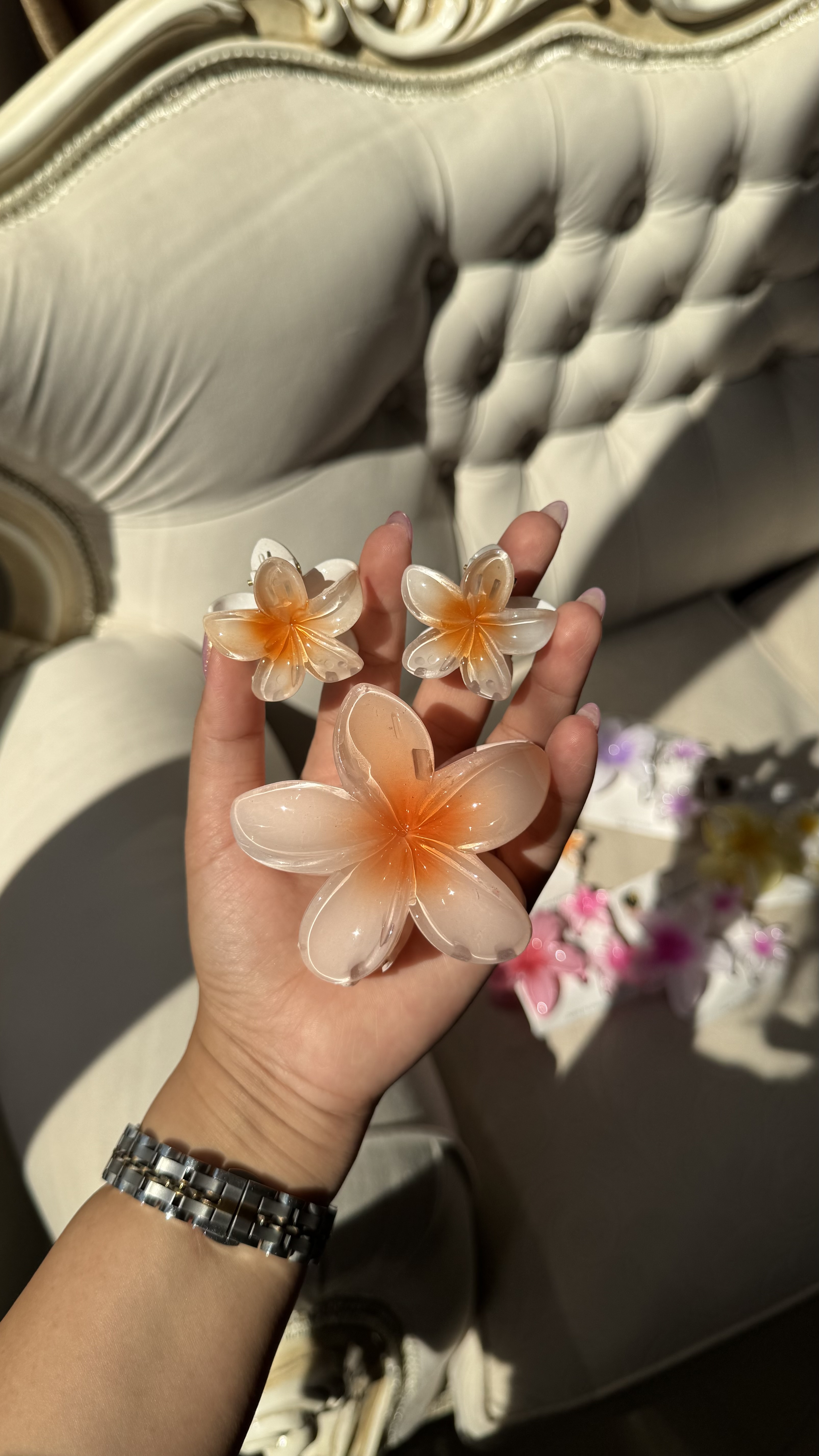 کلیپس ۳عددی پلومری